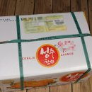 이순농장 | 성주참외 소피아농장 못난이 참외 10kg 주문 후기