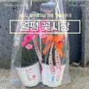 월평 | 제주 월평 꽃 시장 힐링하기 좋은 제주도 가볼 만한 곳