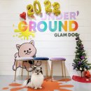 삼성애견 이미지