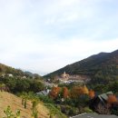 바담채 티스토리