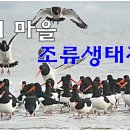 조류생태전시관 네이버블로그