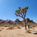 (주)스카이투어관광 | la 라스베가스 그랜드캐년 투어 비교 추천 후기 미국 그랜드캐년 날씨 3월 4월