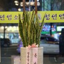 청연 염소골 이미지