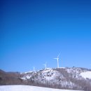 삼양목장 이미지