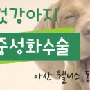 웰니스클리닉동물병원 이미지