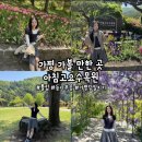 다알리아G | [가평] ‘아침고요수목원’ 가평 가볼 만한 곳, 가평 당일치기, 국내 튤립 명소, 국내 등나무꽃, 서울...