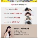 세이프존두피탈모