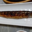 어장과활어센타