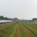 새로이농장 이미지