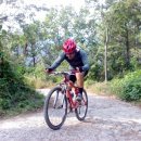 교리초등학교 입구 이미지