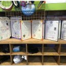 한철민복싱클럽 이미지