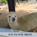 팜랜드02 | 아이랑 가볼만한곳 안성팜랜드 입장료 뽕 뽑는 방법