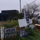 김포 낚시터 추천 🎣 2년째 다니는 찐단골의 김포낚시터 민물 붕어 손맛 후기
