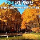 11/16(토) 장태산 자연휴양림&amp;상소동 산림욕장 이미지