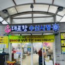속초맛집/ 남다르게 단골되면 좋은이유/ 2번째 and 3번째 재방문 ☺️/ 대포항 애견동반식당 추천❤️