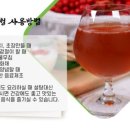 최인숙 농장 이미지