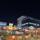 더 편하개 | 부산여행지추천_기장,해운대(맛집정보+숙소정보 총집합) ,크리스마스 트리맛집까지