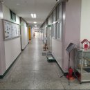 신사초등학교 Daum카페