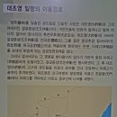 渤海歷史館 이미지