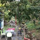 리아트파크청평원 이미지