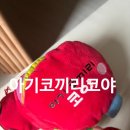 4개월 아기 터미타임 장난감 추천, 아기코끼리 코야 사용 후기! 배밀이 유도까지 만족