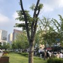 연남파출소 화장실 이미지