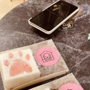 아지아지트 이미지