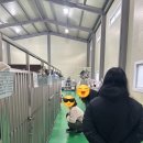 꽃길걷개 이미지