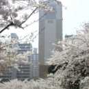 뉴동부공인중개사사무소 이미지