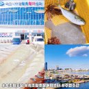 순천 거점산지유통센터 | 속초회포장 속초청호활어회센터 주원수산 속초가성비횟집