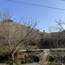 서리실힐링가족캠핑장 이미지