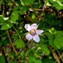 민등농장 이미지