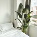 제이엔에스 이미지