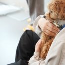 옐레드 애견유치원 & 호텔 고양덕은점 이미지