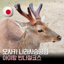 오사카 나라사슴공원 가는 법 | 아이랑 긴테츠선 타고 반나절 다녀온 후기