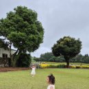 대행목장 이미지