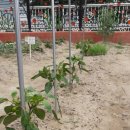 적중농장 이미지