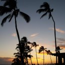 스테이 발리 이미지