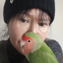 메드리스샀다 언니 큰집언니 영절오빠 도마동에 떴다 이미지