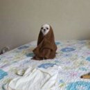 월정리에