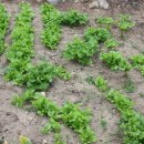 우승농장 이미지