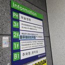 웨이브프라자 | 거북섬 크리스마스 분위기 카페 추천::블루웨이브커피 내돈내산 솔직후기