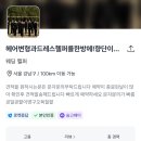 향단이 | W3. 결혼준비) 야외 스냅/ 꽃가마 향단이 헬퍼 드레스 피팅 후기