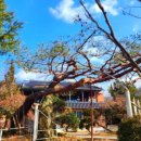 고덕펜션 이미지