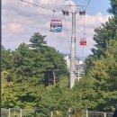 왕피천공원 자전거대여소 이미지