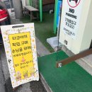 타코밤즈 타코야끼 이미지