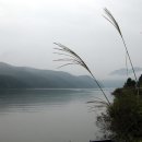 호수의오후 이미지