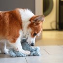 정산동물병원 이미지