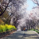 고남저수지 이미지