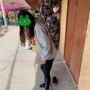 올리브 호스텔 이미지